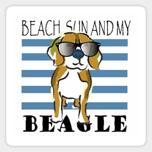 Beach, sun and my Beagle Magnet